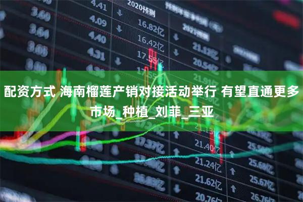配资方式 海南榴莲产销对接活动举行 有望直通更多市场_种植_刘菲_三亚